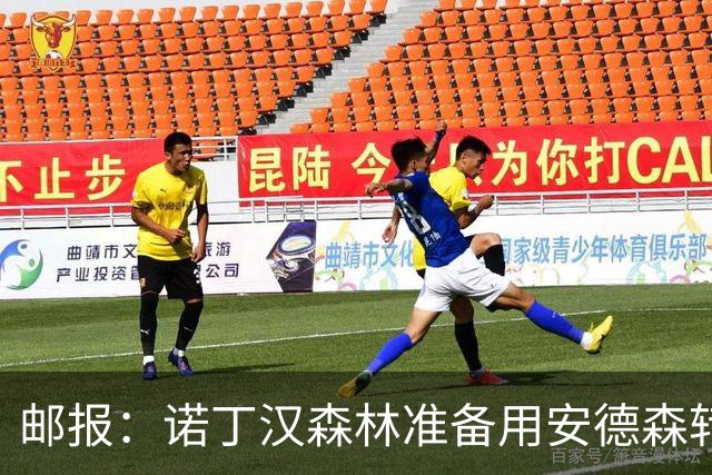 邮报：诺丁汉森林准备用安德森转会费引援，补强锋线和中场
